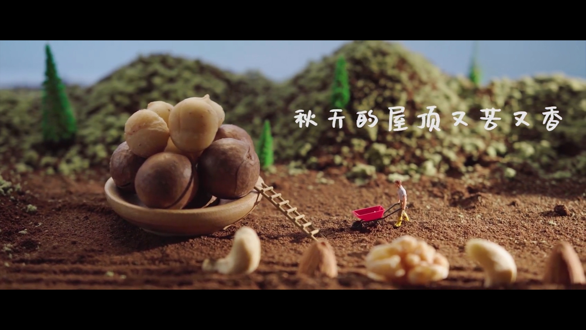 堅果食品微縮