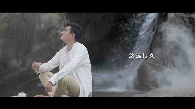 高黃酮養(yǎng)生茶